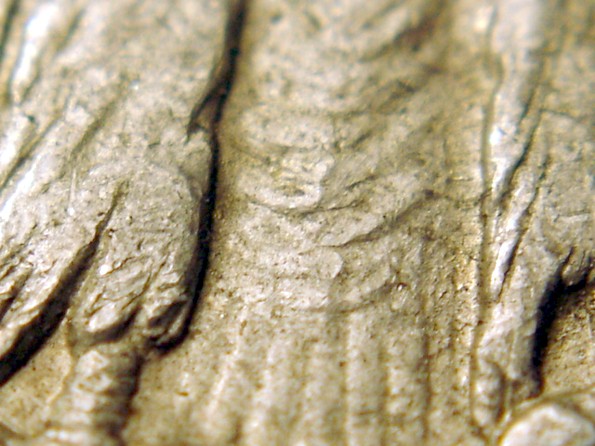 1888-0-VAM-17--Top-100-Morgans.